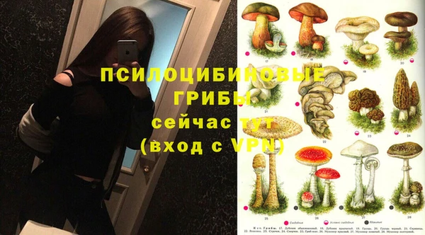 мет Аркадак