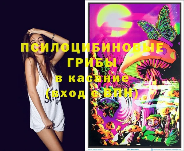 мет Аркадак