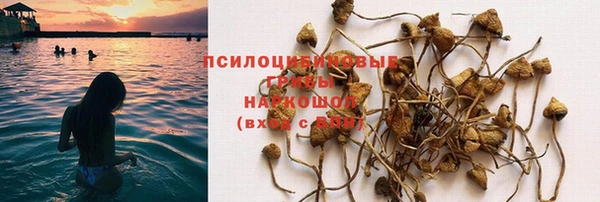 мет Аркадак